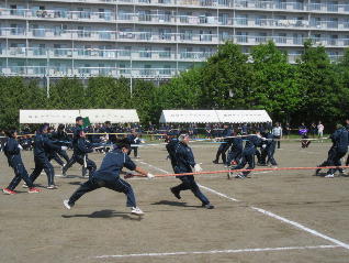 1IMG_7356.jpg