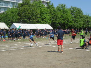1IMG_7363.jpg