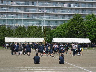 1IMG_7384.jpg