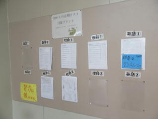 1IMG_7587.jpg
