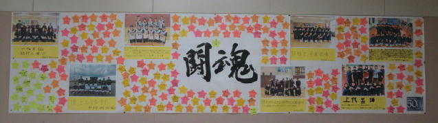 1IMG_7674.jpg
