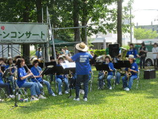 1IMG_8163.jpg
