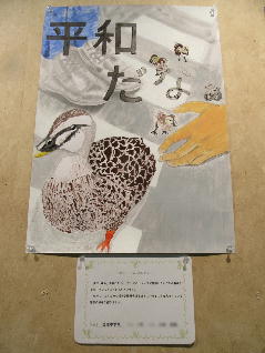 1IMG_9459.jpg