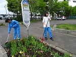 DSC00040.JPG