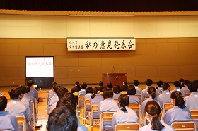IMG_3428.jpg
