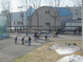 1IMG_4334.jpg
