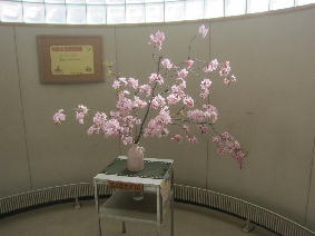 1IMG_4452.jpg