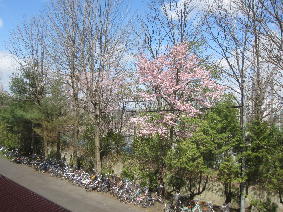 1IMG_4459.jpg