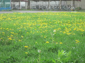 1IMG_4901.jpg