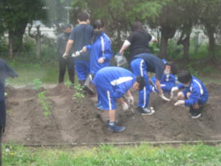 1IMG_4916.jpg