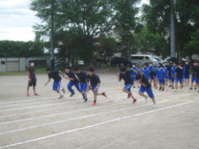 1IMG_5293.jpg