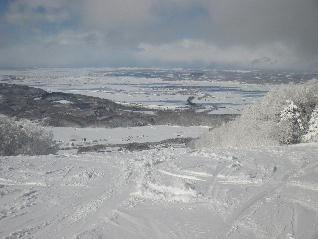1IMG_7819.jpg