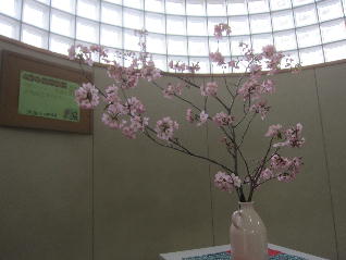 1IMG_8511.jpg