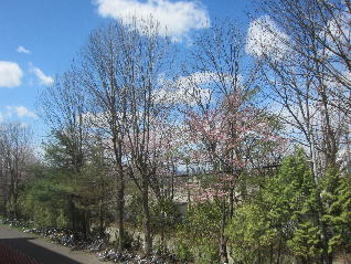 1IMG_8527.jpg