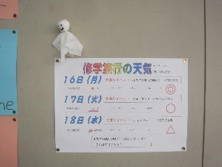1IMG_8965.jpg