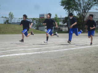1IMG_9310.jpg