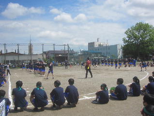1IMG_9486.jpg