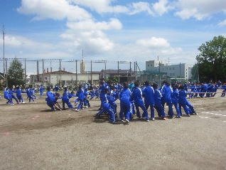 1IMG_9494.jpg