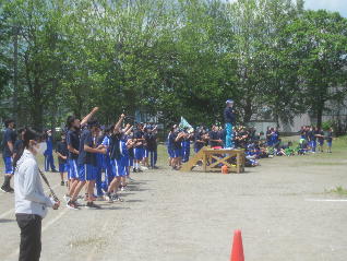 1IMG_9515.jpg