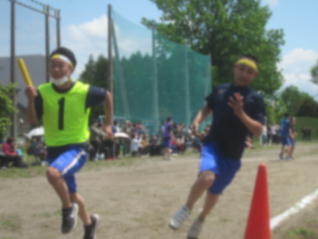 1IMG_9524.jpg