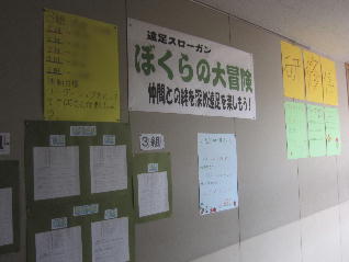 1IMG_9638.jpg
