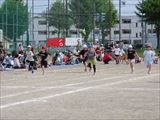 IMG_3156_R7 77.JPG