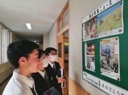 IMG_20240416_151705.jpgのサムネイル画像