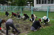 IMG_1916111.jpg