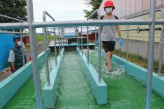 流水体験1.JPG