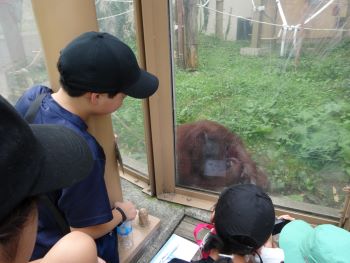 動物園2.JPG