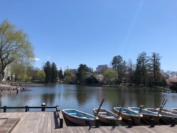 常磐公園・千鳥ヶ池～ボート乗り場側.jpg