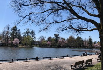 常磐公園・千鳥ヶ池～北側.jpg