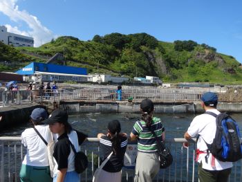 水族館.JPG