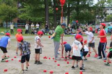 IMG_9225.JPG