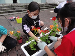 DSC08001.JPG