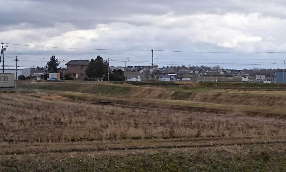 http://www.asahikawa-hkd.ed.jp/shunkoudai-jhs/aki.jpg
