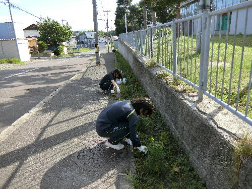 seitokai2.jpg