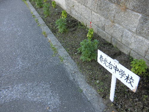 seitokai3.jpg