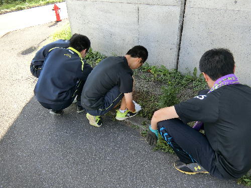 setokai1.jpg