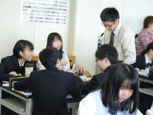 san6.jpg