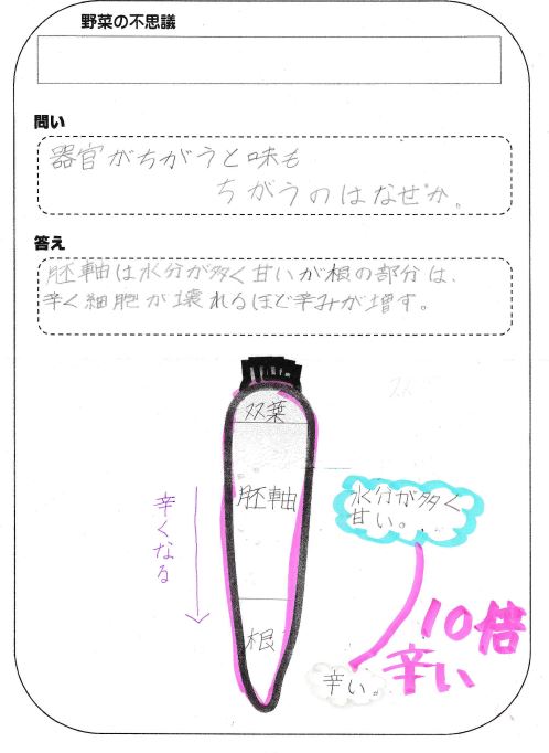 yasai1.JPG