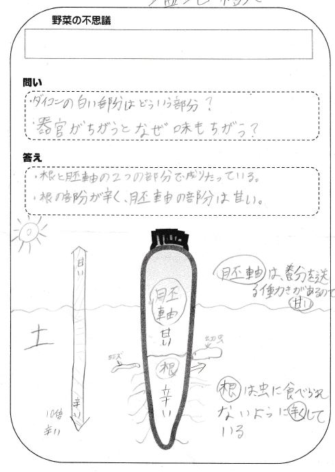 yasai3.JPG