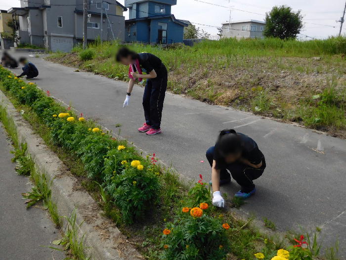 http://www.asahikawa-hkd.ed.jp/shunkoudai-jhs/bare2.jpg