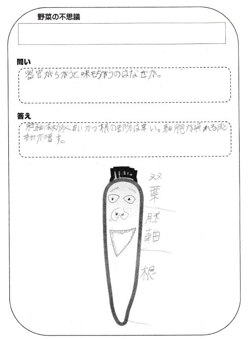 http://www.asahikawa-hkd.ed.jp/shunkoudai-jhs/daikon4.JPG