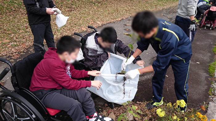 http://www.asahikawa-hkd.ed.jp/shunkoudai-jhs/fura2.jpg