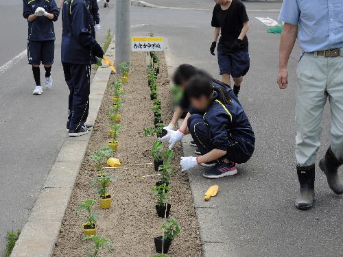 http://www.asahikawa-hkd.ed.jp/shunkoudai-jhs/fura4.jpg