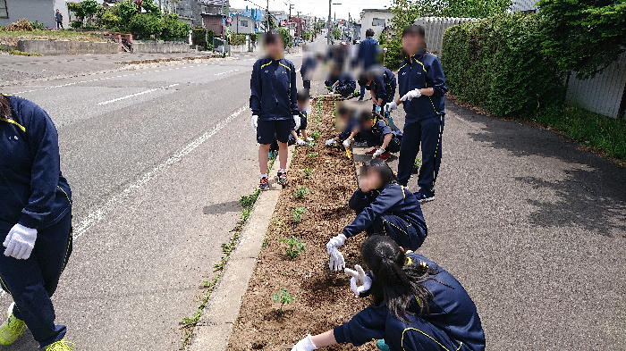 http://www.asahikawa-hkd.ed.jp/shunkoudai-jhs/furaw.jpg