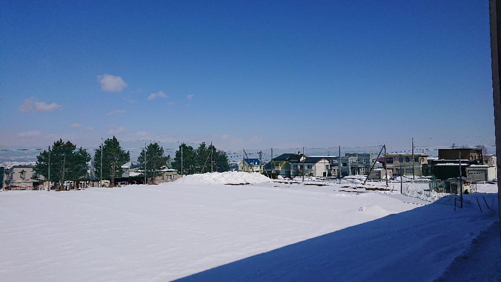 http://www.asahikawa-hkd.ed.jp/shunkoudai-jhs/gura1.jpg