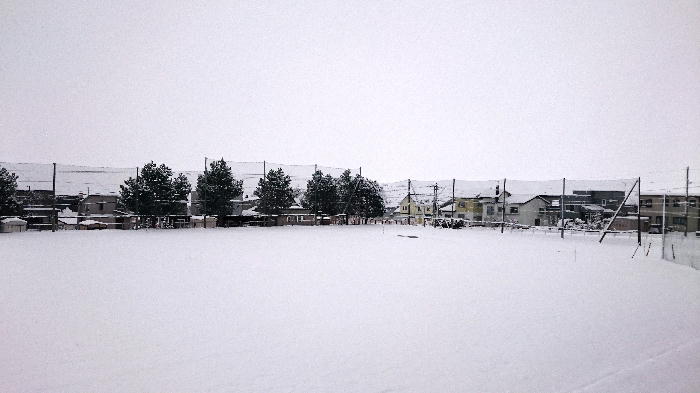 http://www.asahikawa-hkd.ed.jp/shunkoudai-jhs/guran.jpg