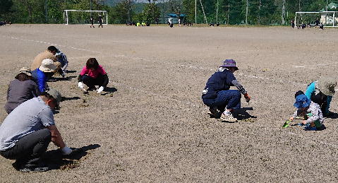 http://www.asahikawa-hkd.ed.jp/shunkoudai-jhs/isihiroi2.jpg